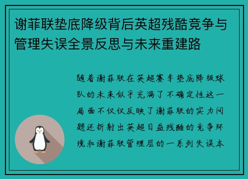 谢菲联垫底降级背后英超残酷竞争与管理失误全景反思与未来重建路